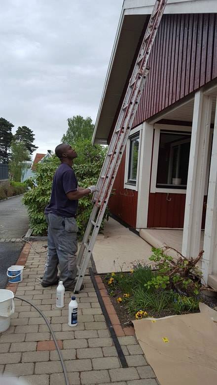 🧱 Paving and driveways